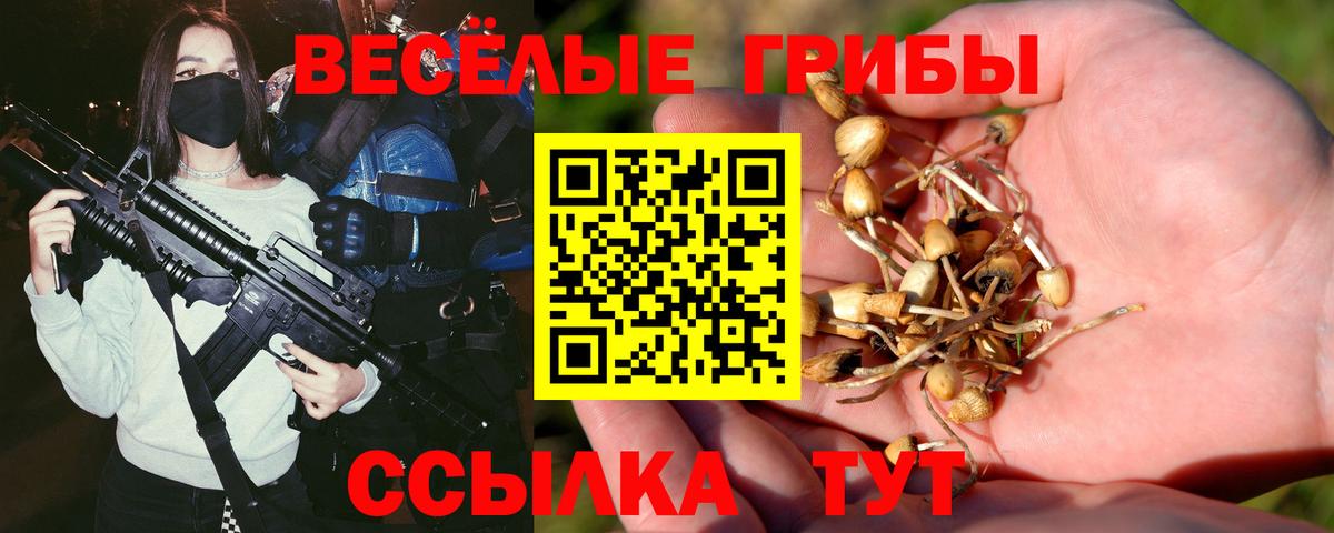 Галлюциногенные грибы GOLDEN TEACHER  Вход с VPN  Псилоцибиновые грибы прущие грибы  Верхний Уфалей 